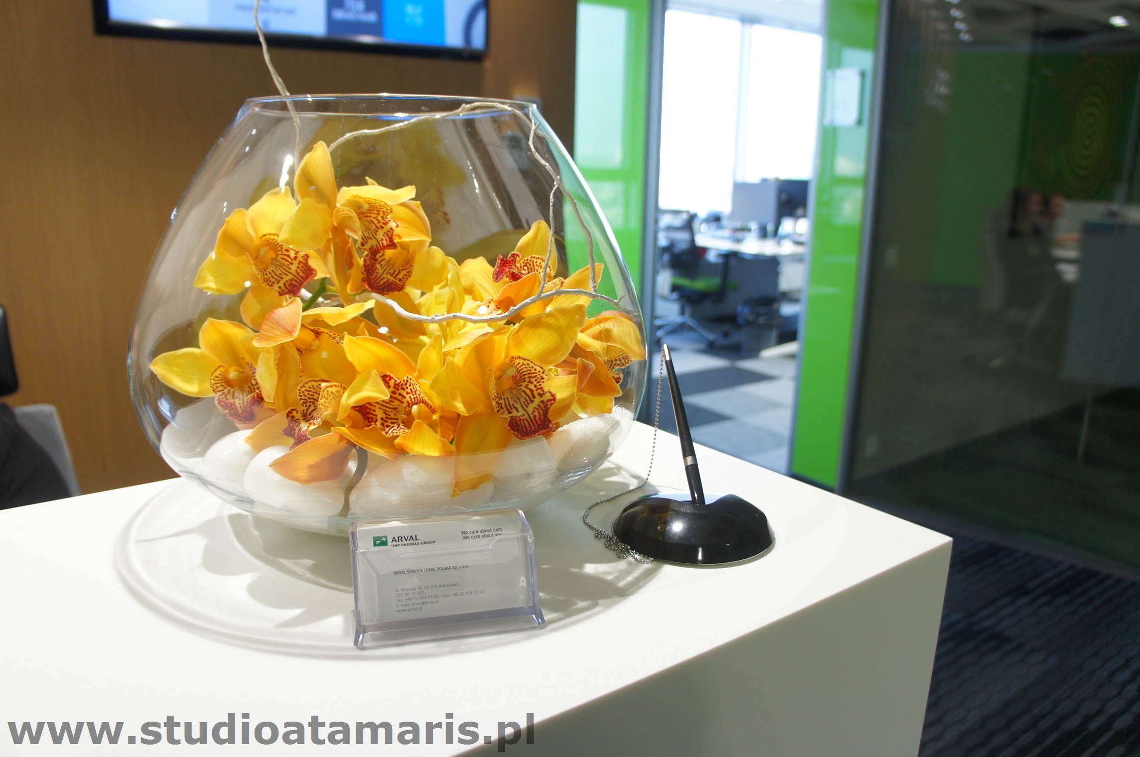 dekoracja recepcji storczyk cymbidium w szkle