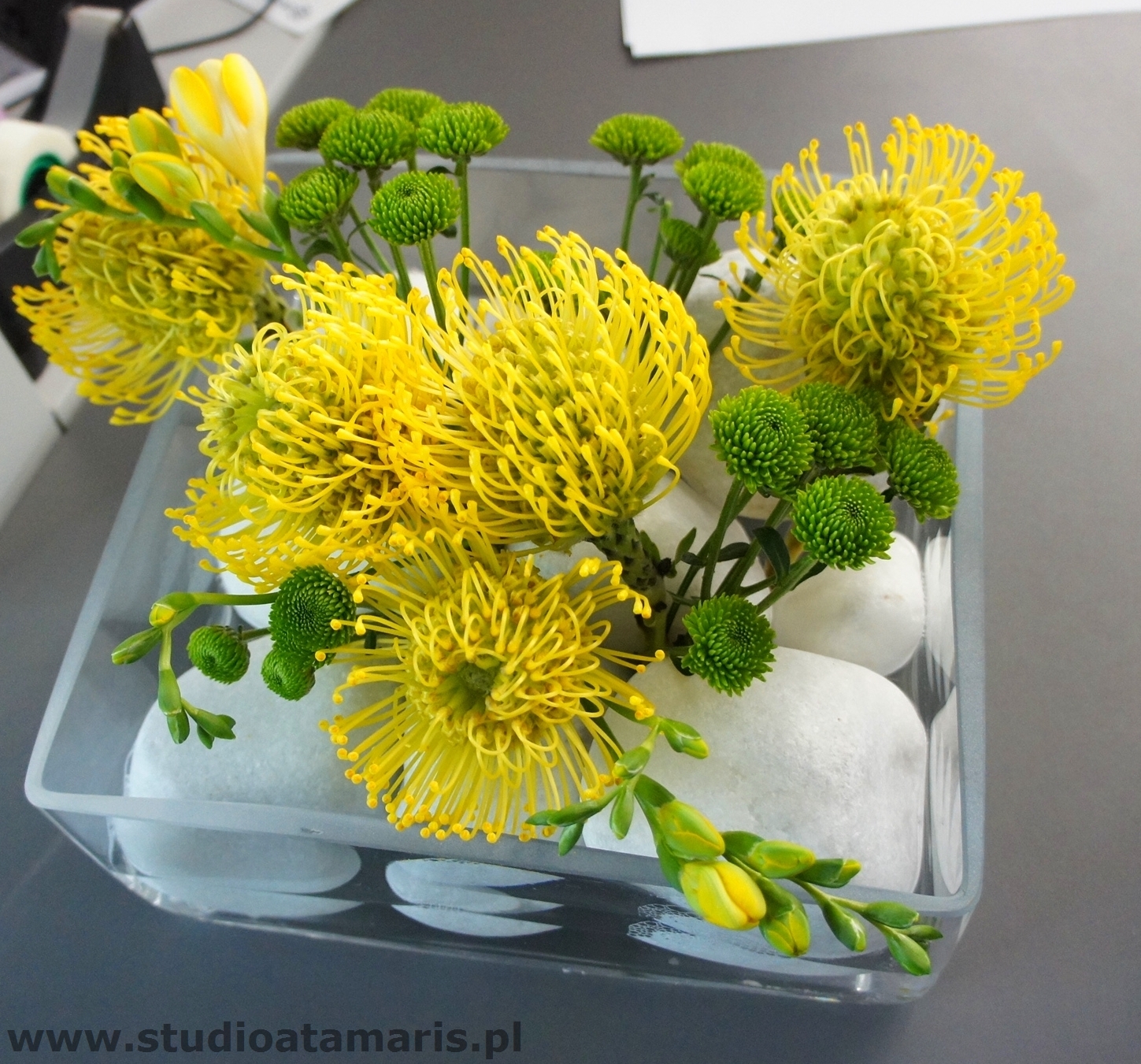 dekoracja recepcji niska żółte leucospermum