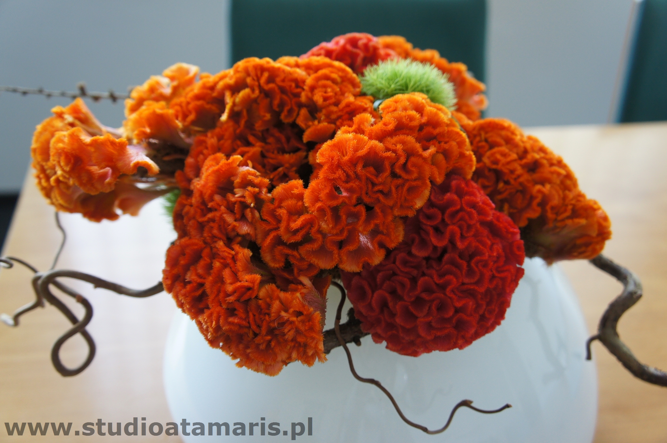 dekoracja recepcji bukiet z sezonowych celozji