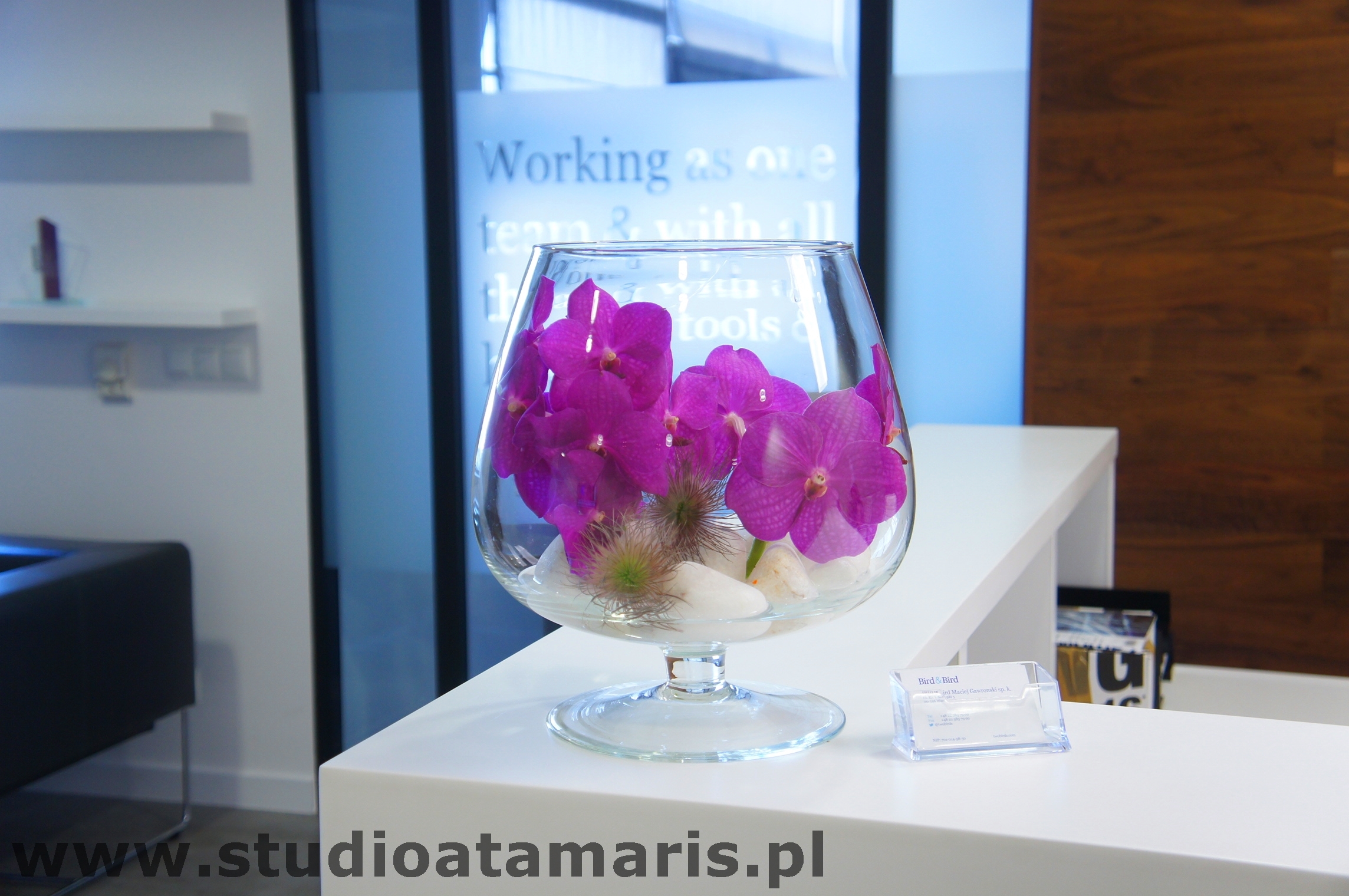 storczyk Vanda w szklanym kielichu jako dekoracja recepcji